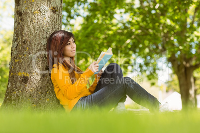 Female student reading book against tree trunk in park