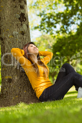 Beautiful woman sitting against tree in park