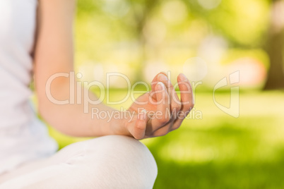 Peaceful woman doing yoga in the park