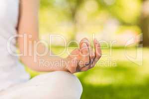 Peaceful woman doing yoga in the park