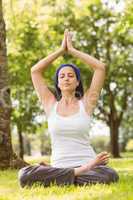 Fit brunette sitting in lotus pose in the park