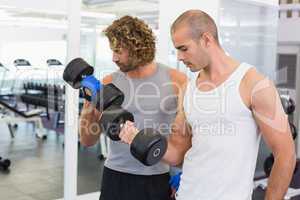 Sporty men exercising with dumbbells in gym