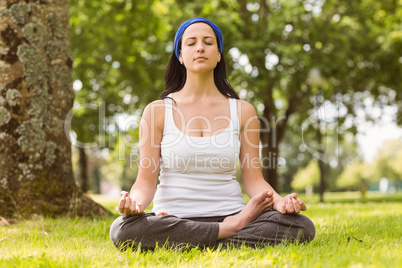 Fit brunette sitting in lotus pose on grass