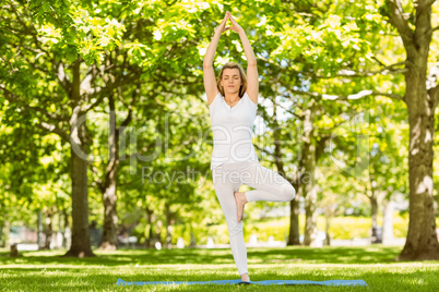 Peaceful blonde doing yoga in the park