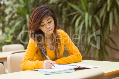 Female college student doing homework
