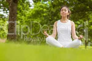 Beautiful young woman sitting in lotus pose at park