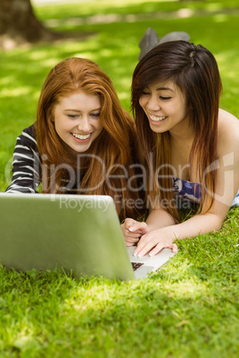 Happy relaxed women using laptop in park