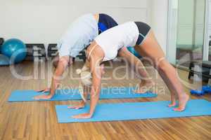 Sporty couple in bending posture at fitness studio