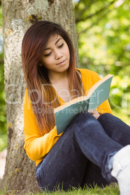Female student reading book against tree trunk in park