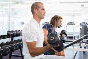 Side view of men exercising with dumbbells in gym