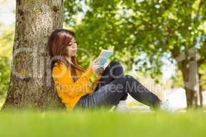 Female student reading book against tree trunk in park