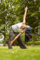 Relaxed brunette doing yoga on grass