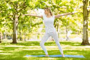 Peaceful blonde doing yoga in the park