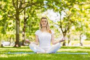 Fit blonde sitting in lotus pose in the park