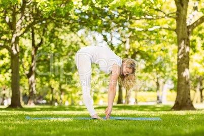 Peaceful blonde doing yoga in the park