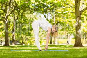 Peaceful blonde doing yoga in the park