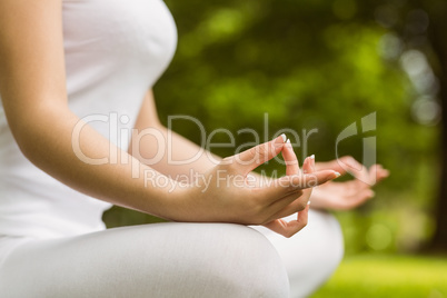Mid section of woman in lotus pose at park