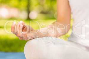 Peaceful woman doing yoga in the park