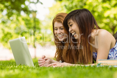 Happy relaxed women using laptop in park