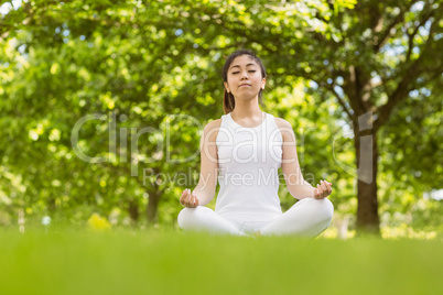 Healthy young woman sitting in lotus pose at park