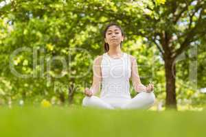 Healthy young woman sitting in lotus pose at park
