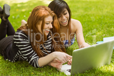 Happy relaxed women using laptop in park