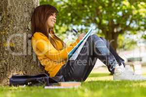 Female student doing homework against tree in park