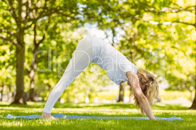 Fit blonde doing yoga in the park