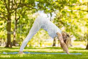 Fit blonde doing yoga in the park