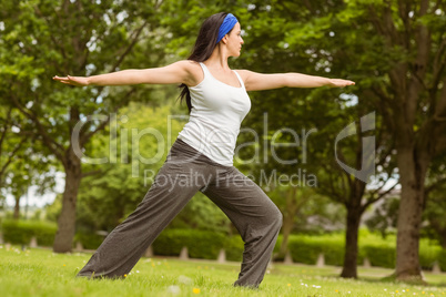 Peaceful brunette doing yoga on grass