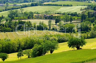 Emilia Landschaft - Emilia landscape 08