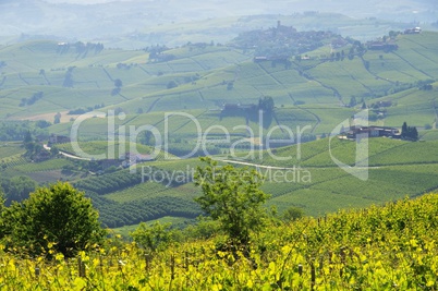 Langhe Weinberge und Doerfer - Langhe vineards and villages 03