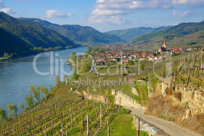 Weissenkirchen in der Wachau - Weissenkirchen in Wachau 11