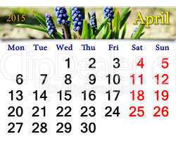 calendar for May of 2015 year with muscari