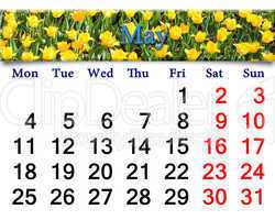 calendar for May of 2015 year with yellow tulips