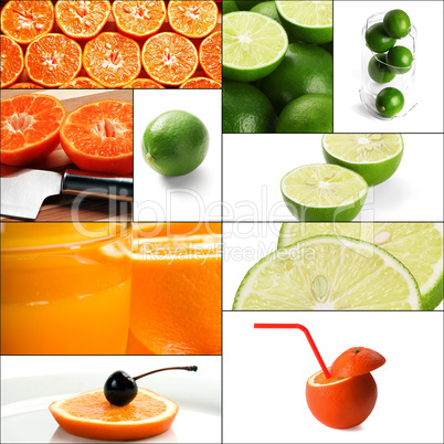 citrus fruits collage