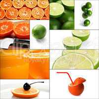 citrus fruits collage