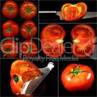 tomatoes collage