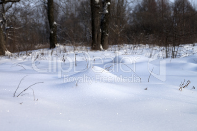 Snowdrift in winter forest