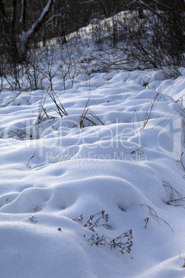 Snowdrifts in winter forest after snowfall