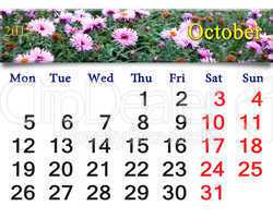calendar for October of 2015 with the pink asters