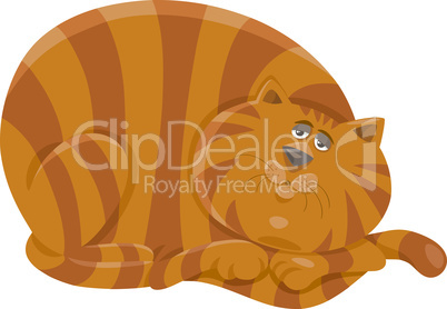 fat cat character cartoon illustration