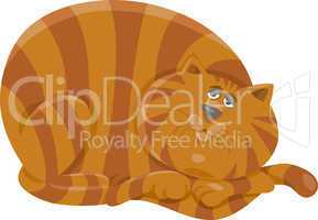 fat cat character cartoon illustration