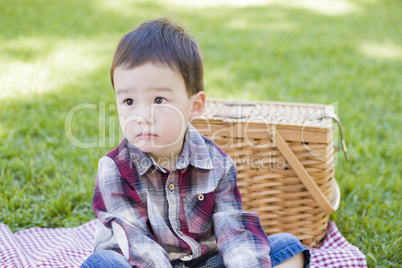 Young Mixed Race Boy Sitting in Park Near Picnic Basket