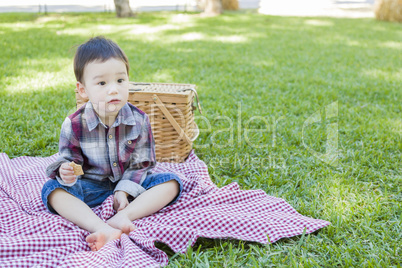 Young Mixed Race Boy Sitting in Park Near Picnic Basket