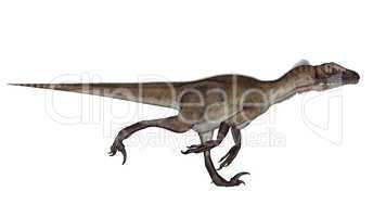 Utahraptor dinosaur running - 3D render
