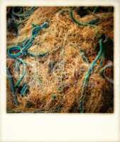 Old instant type photo of fishing nets