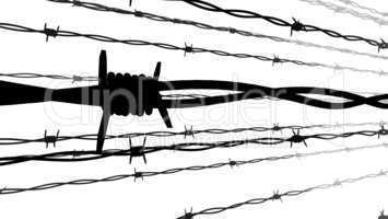 Silhouette of Barbed wire.