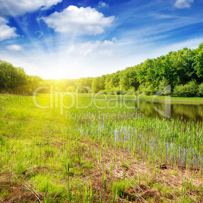 Forest lake in the rays of dawn