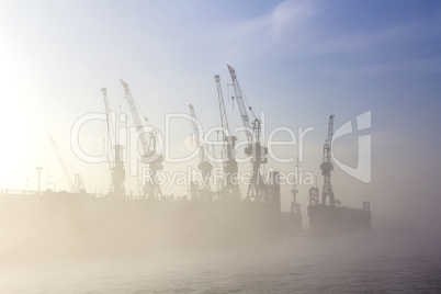 silhouette of cranes in fog